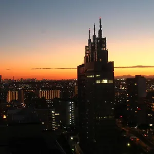 4* Hotel Kawasaki Nikko